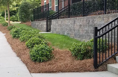 Pine Straw and Mulch, Raleigh, NC