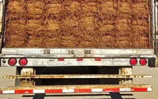 Commercial Pine Straw