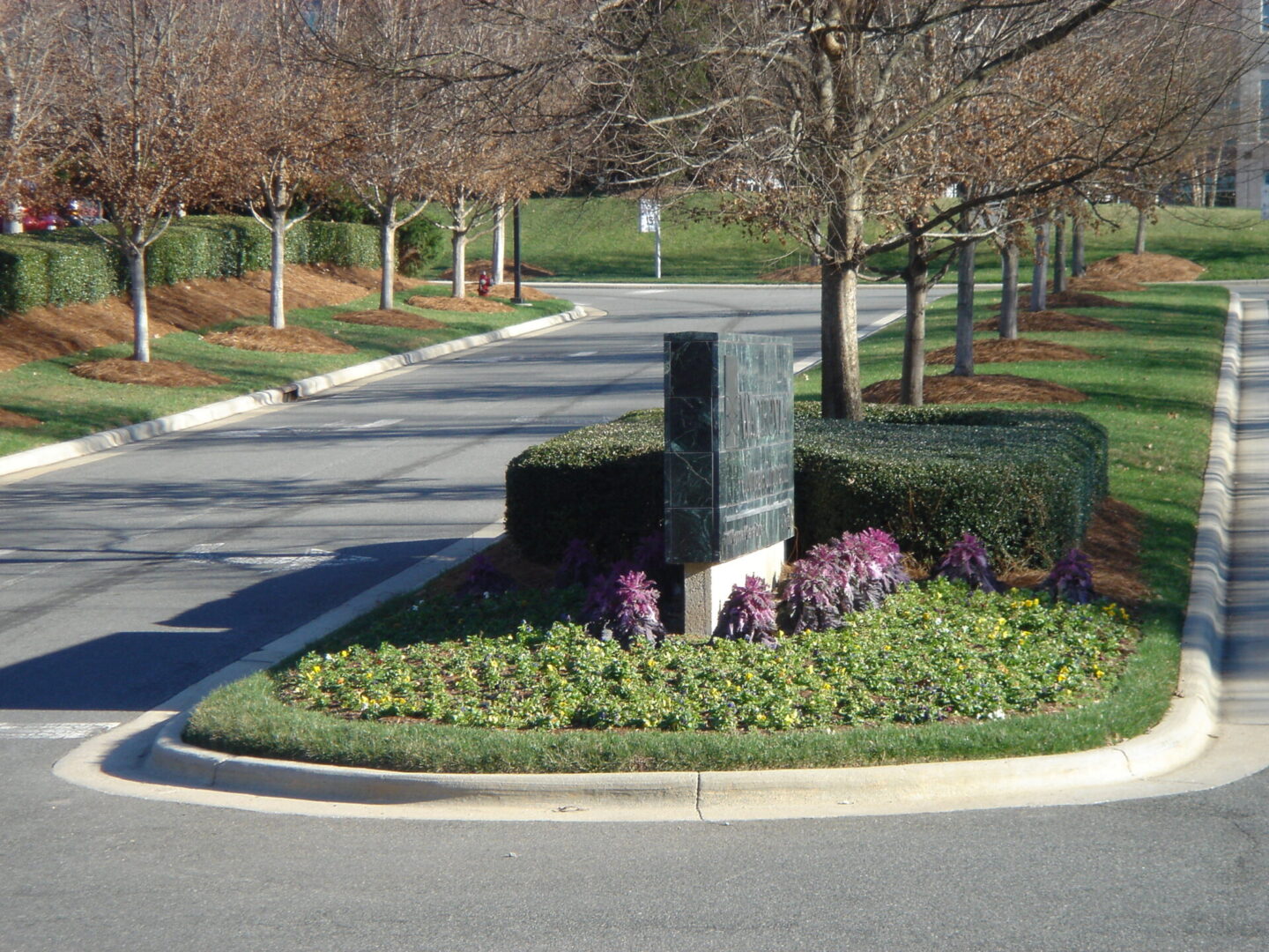 landscaping using pine straw mulch in private property