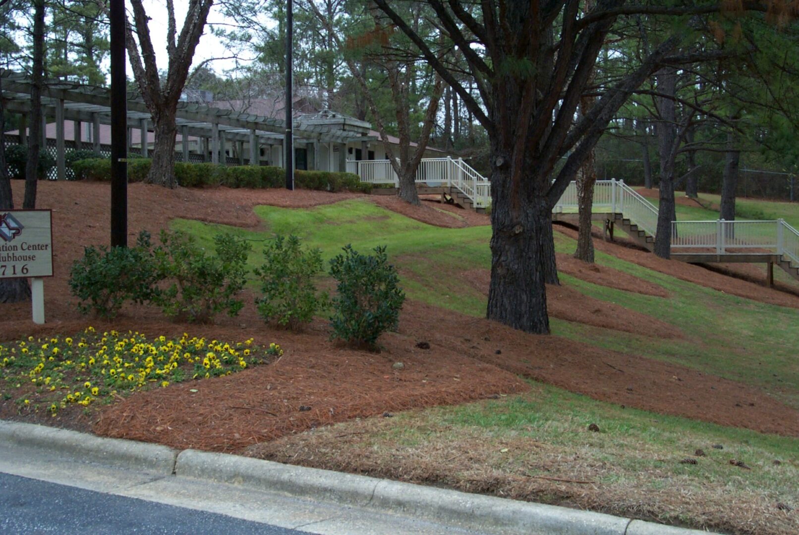 a hillside landscaped with pine straw mulch